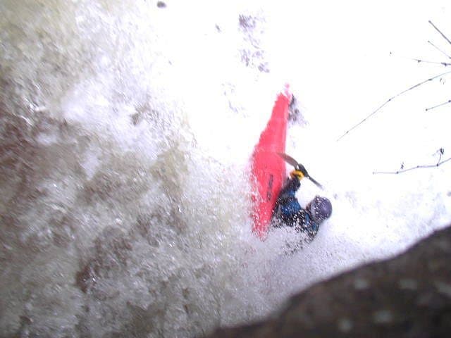 Trip report photo