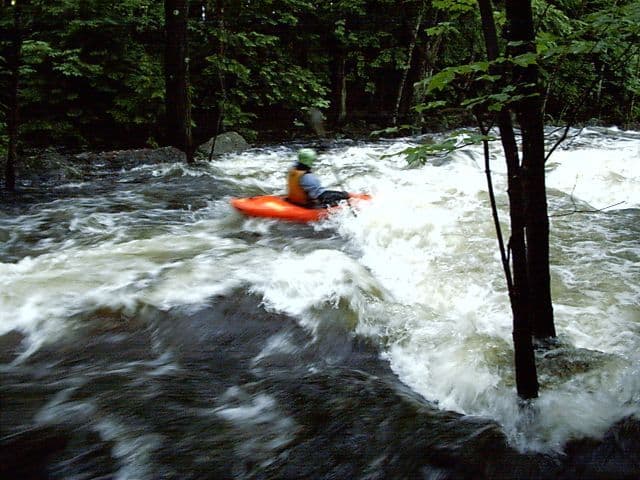 Trip report photo