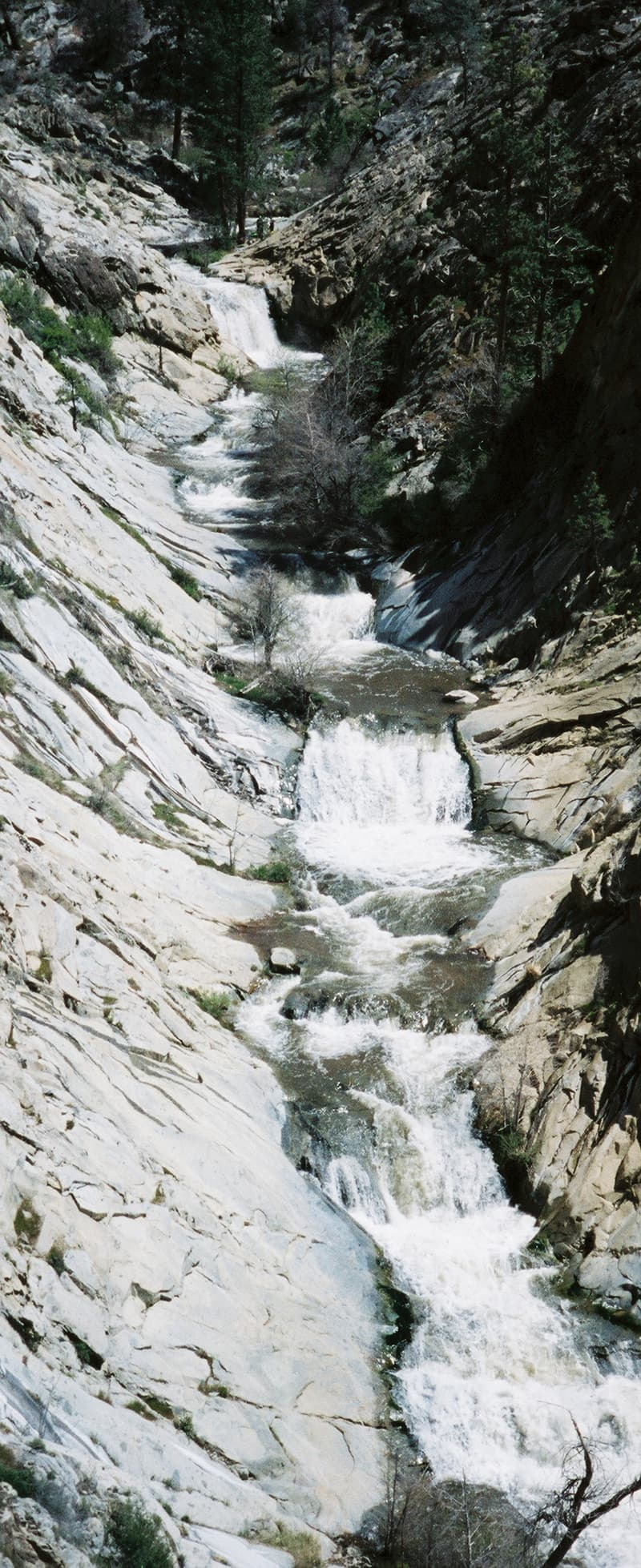 Trip report photo