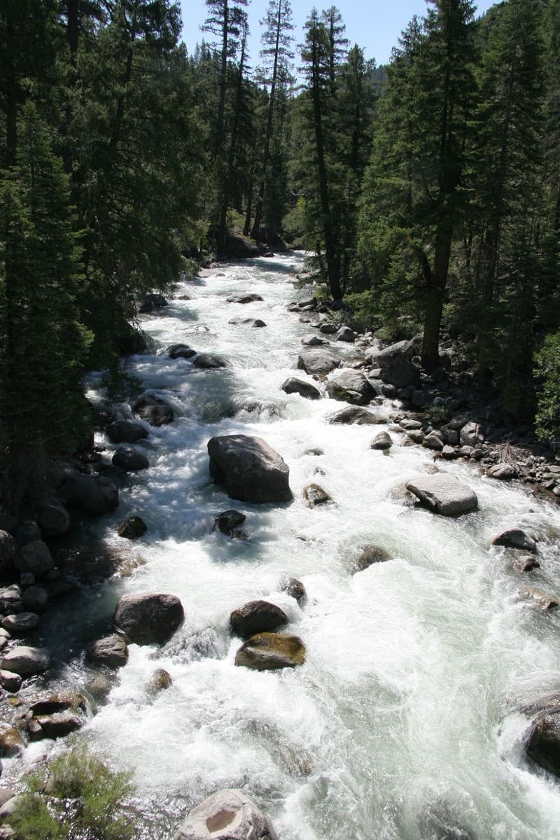 Trip report photo