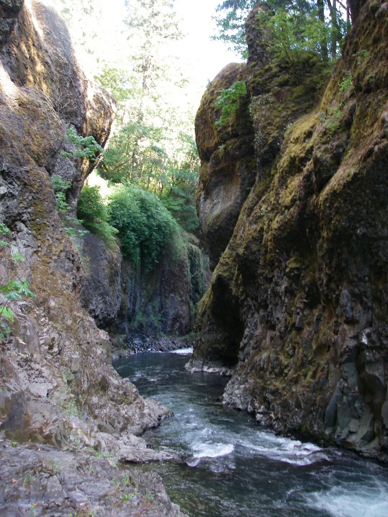 Trip Through the Lower Gorge