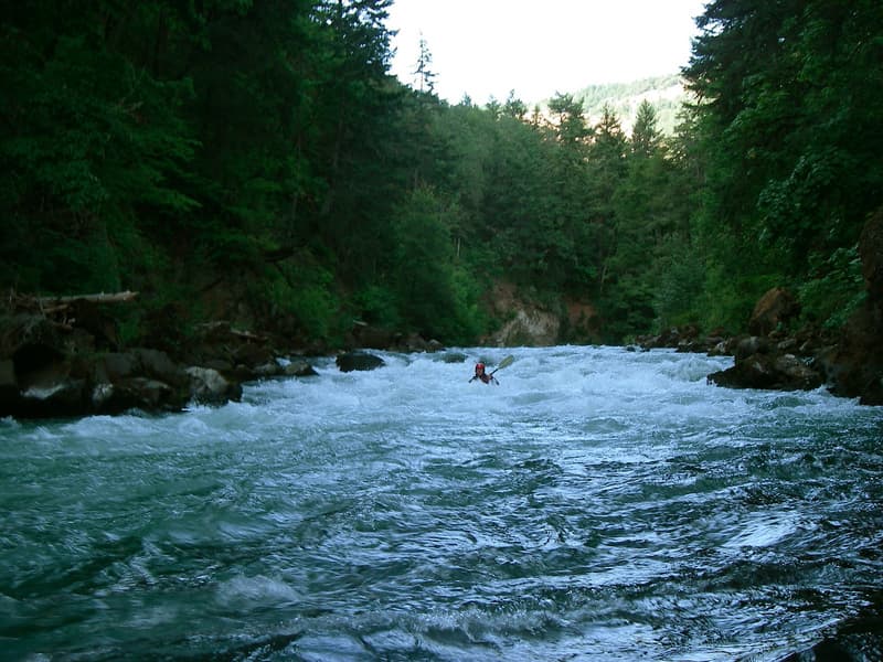 Final Rapid