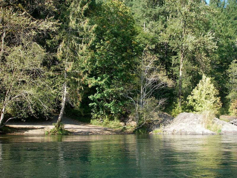 Early Fall on the McKenzie