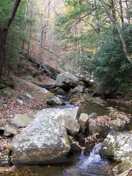 Boulder Clog 1