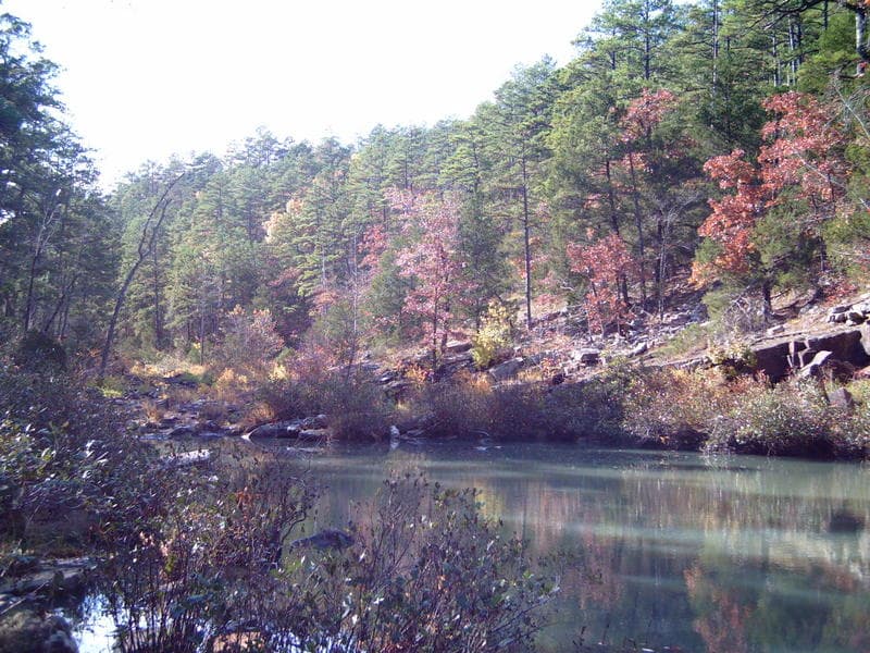 Knopper Ford pool