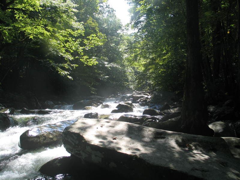 Trip report photo