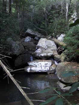Trip report photo
