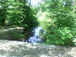 River Right Put-In
