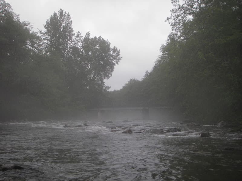 Trip report photo