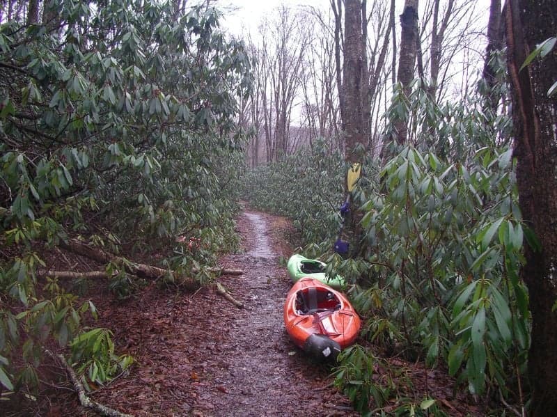 Trip report photo