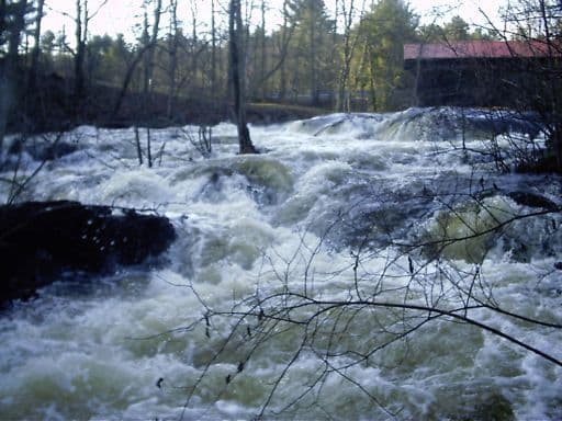 Waterloo Falls