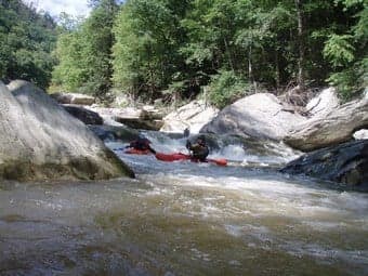 Tony's Rapid