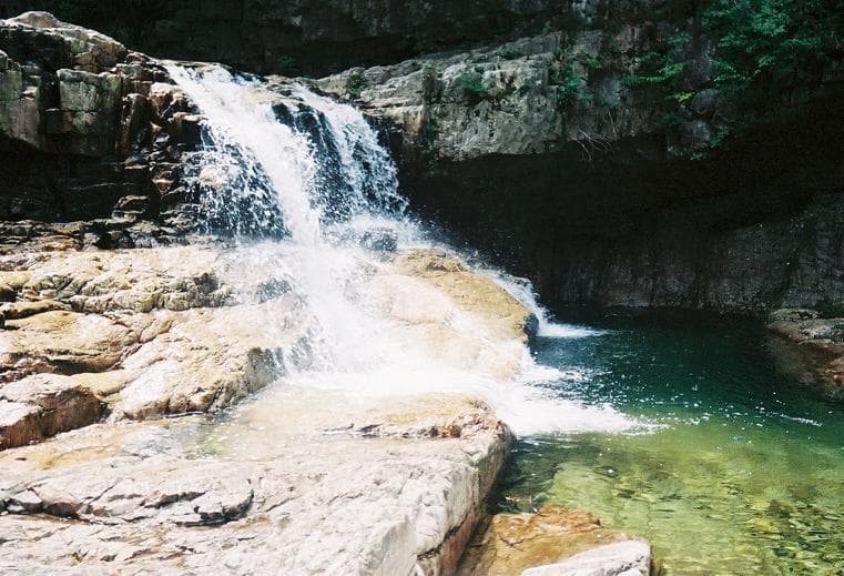 Trip report photo