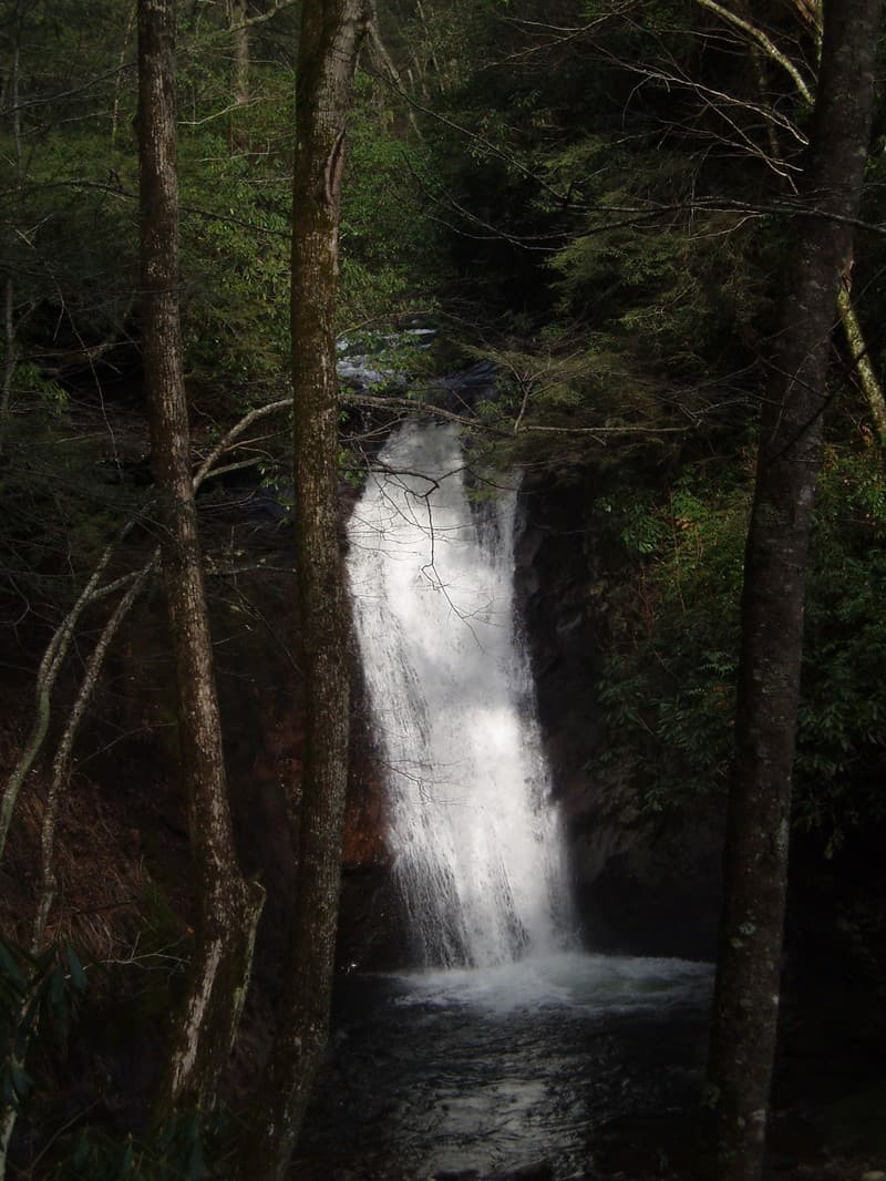 Trip report photo