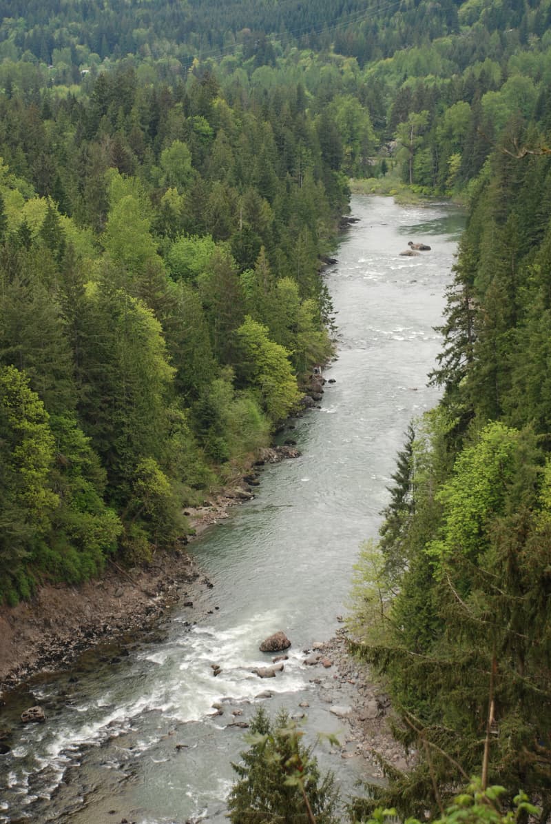 View from the Train