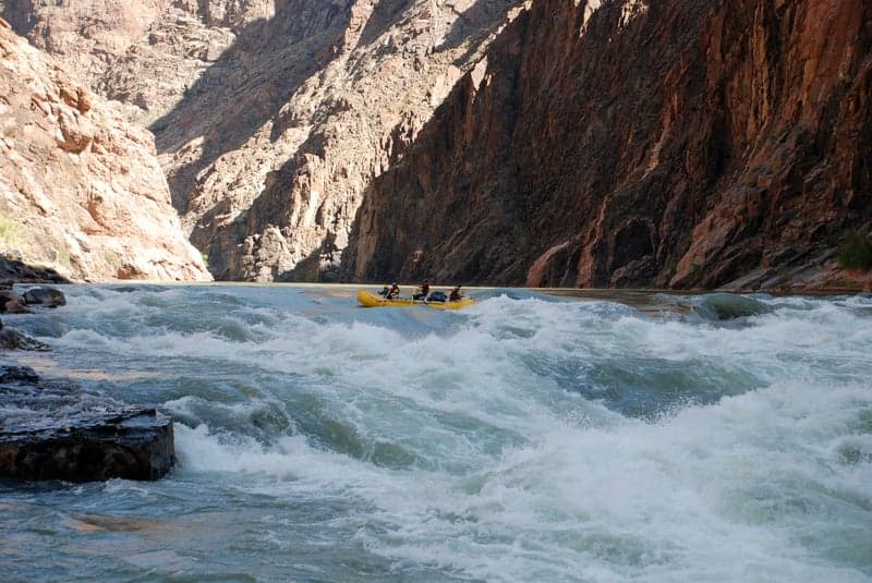 Horn Creek Rapid (8)