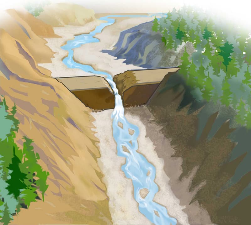 Artist Renderings of Marmot Dam Removal and a Restored River