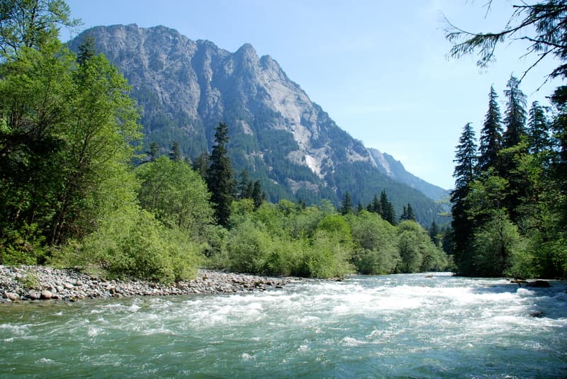 Taylor River Confluence