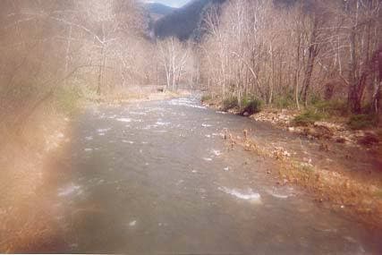 Trip report photo