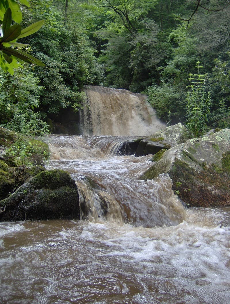 Trip report photo