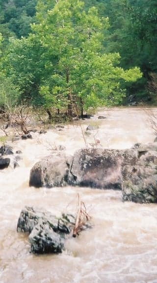 Trip report photo