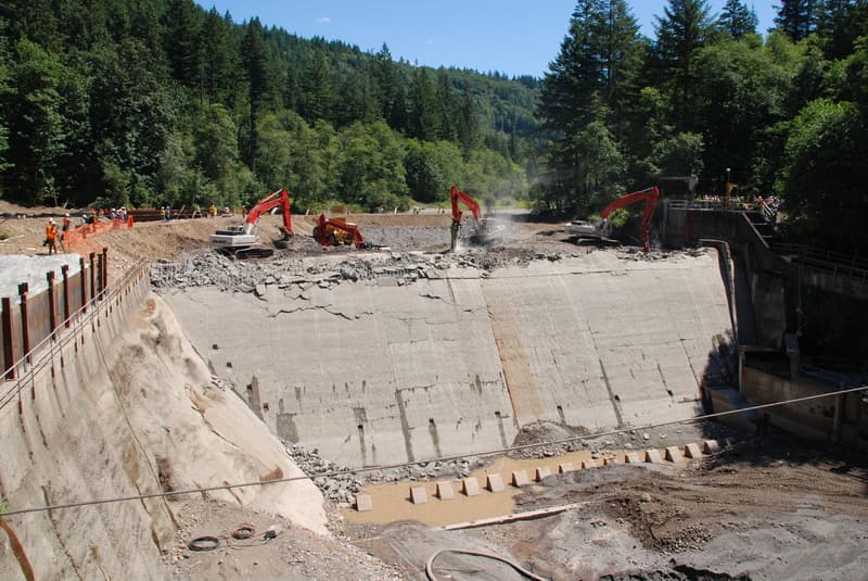 Marmot Dam Removal