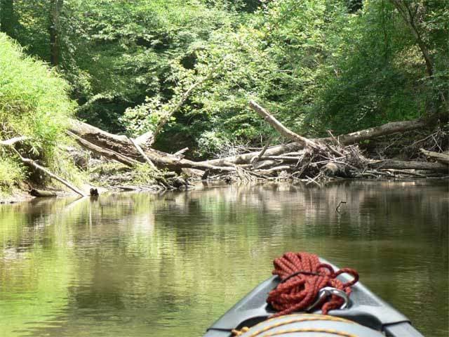 Trip report photo