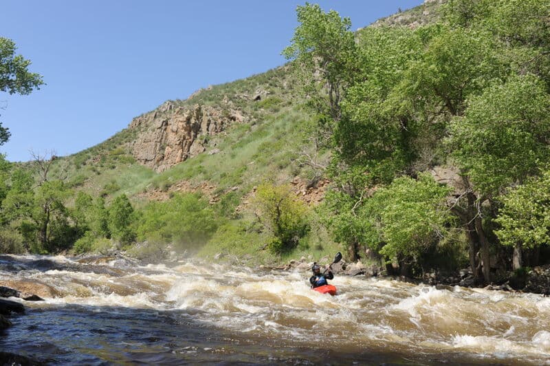 Mad Dog Rapid