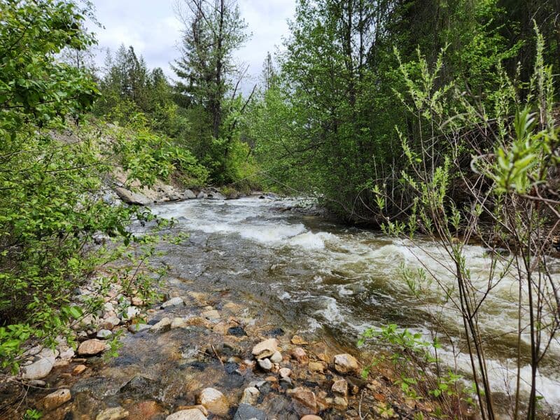Average Sherman Creek rapids
