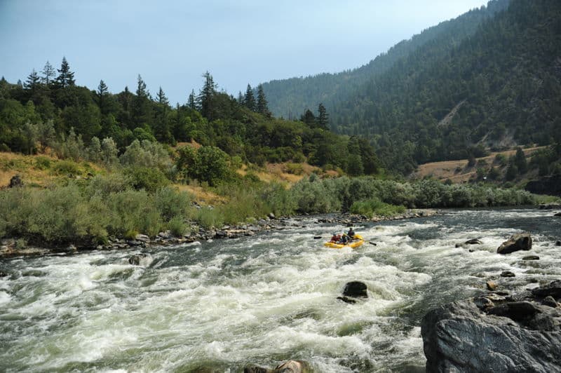 Unnamed Rapid