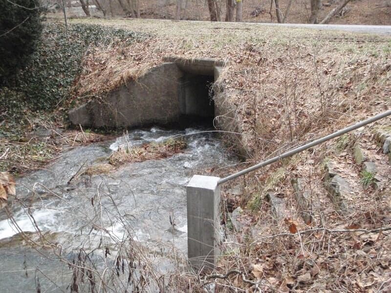 Access - Spring along Rt. 42