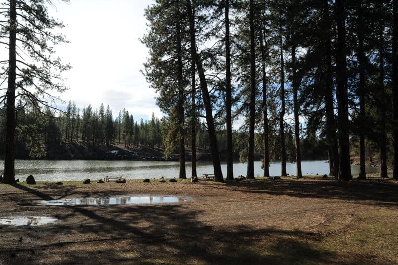 Site Visit to Pioneer Park and Moonshine Falls