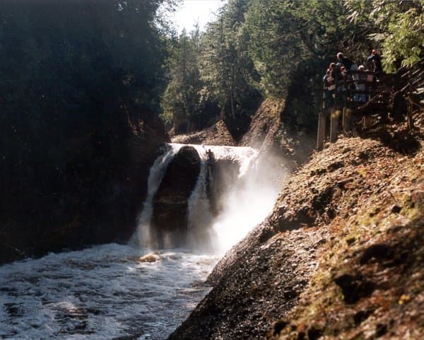 Trip report photo