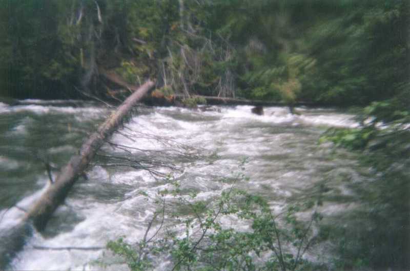 Channel-Spanning Wood Hazard
