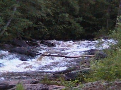 Trip report photo