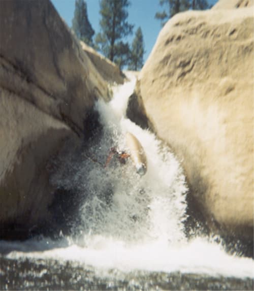 Trip report photo