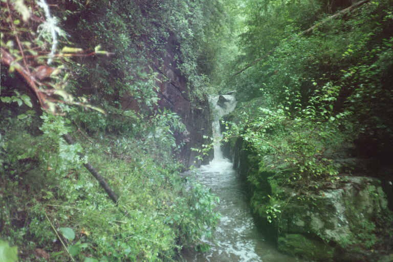 Mandatory Portage