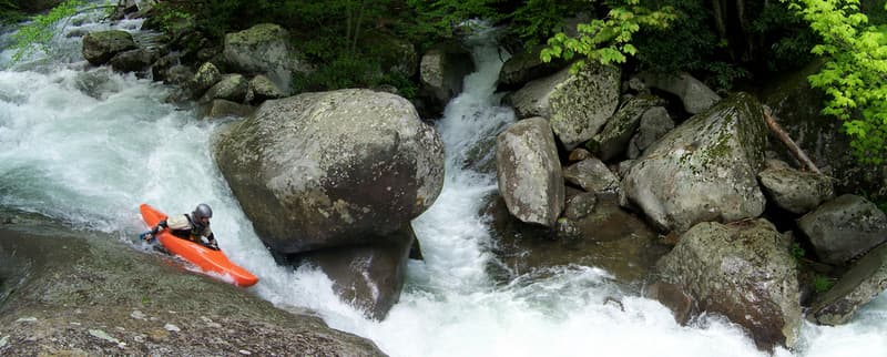 Trip report photo
