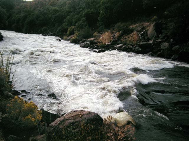Flow Study