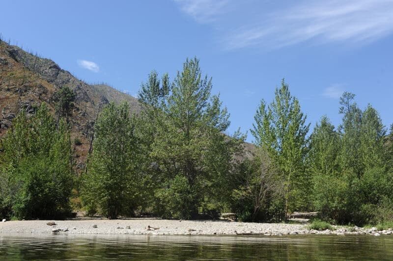 Pistol Creek Camp (RL)