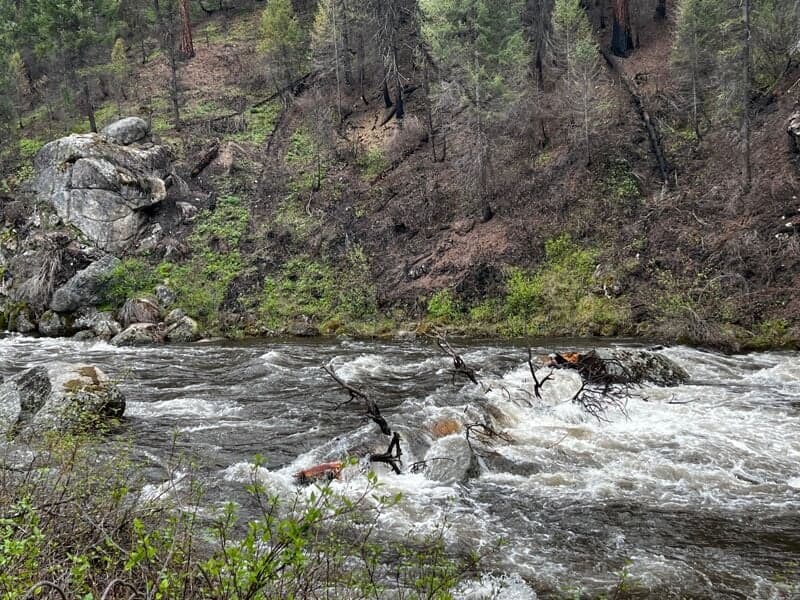 Wood in river above the Nozzle