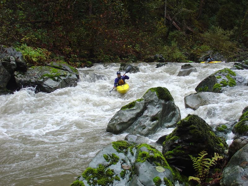 Whitewater Flow Study Day 1