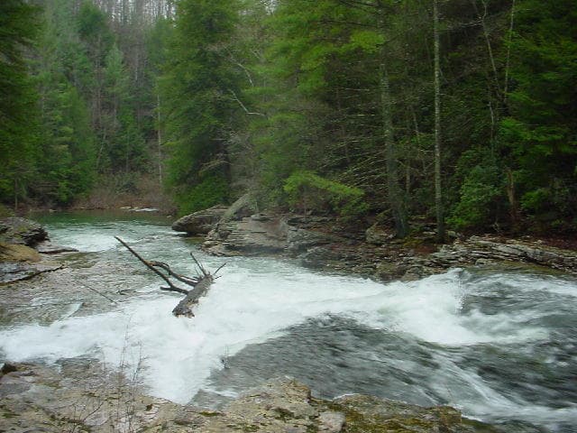 Trip report photo