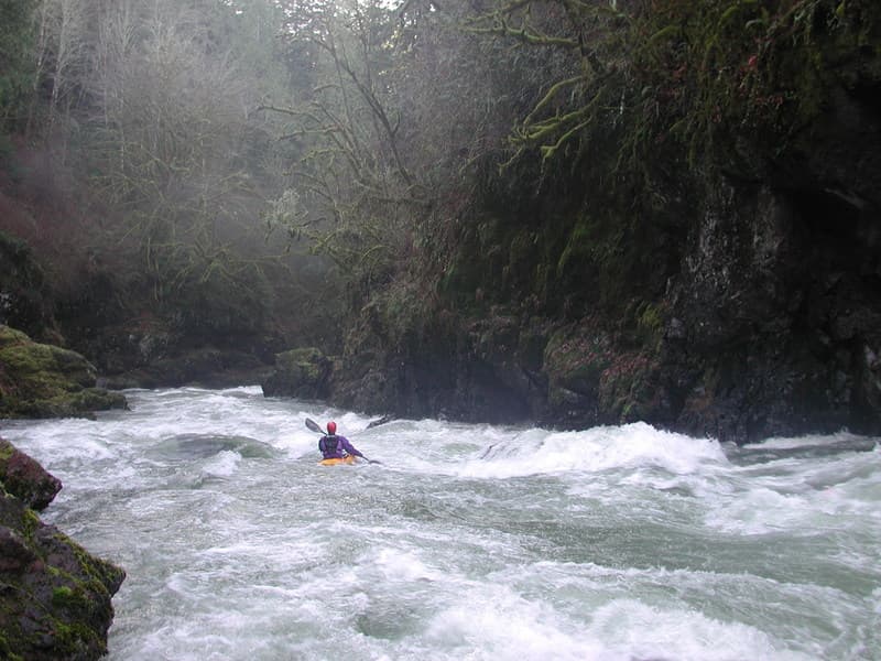 Leap of Faith