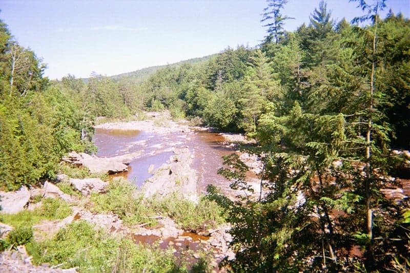 Trip report photo