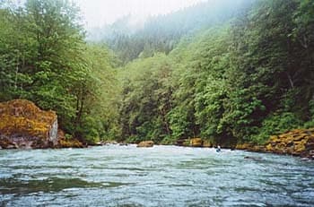 Trip report photo