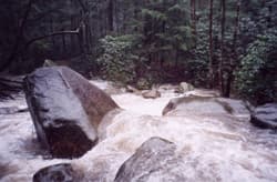 State Park Rapid (Boof and Boogie)
