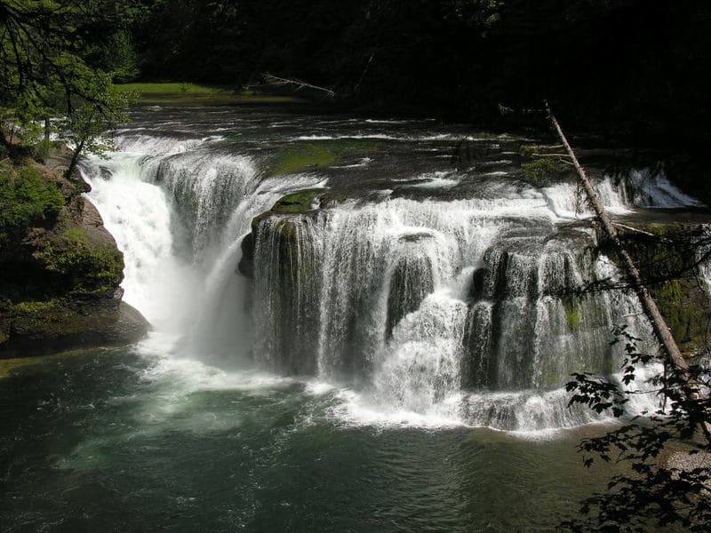 Lower Lewis River Falls