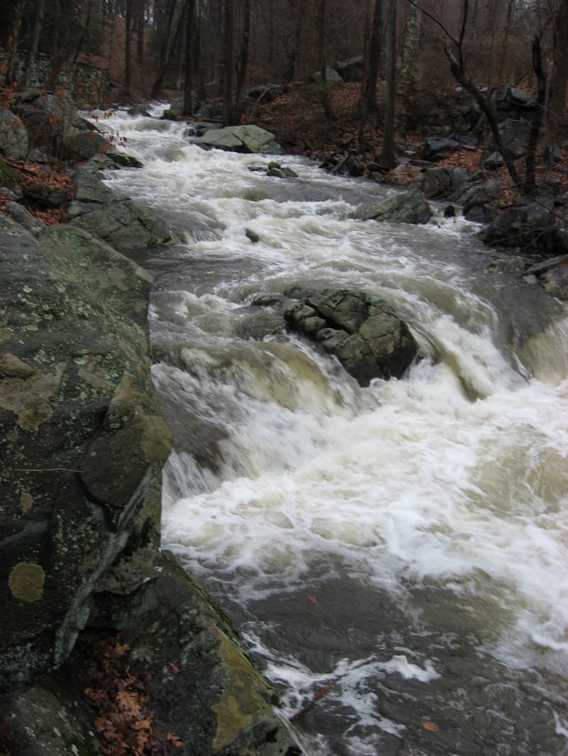The ledges