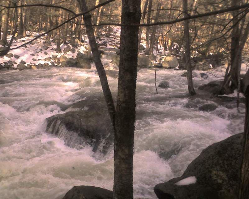 Trip report photo
